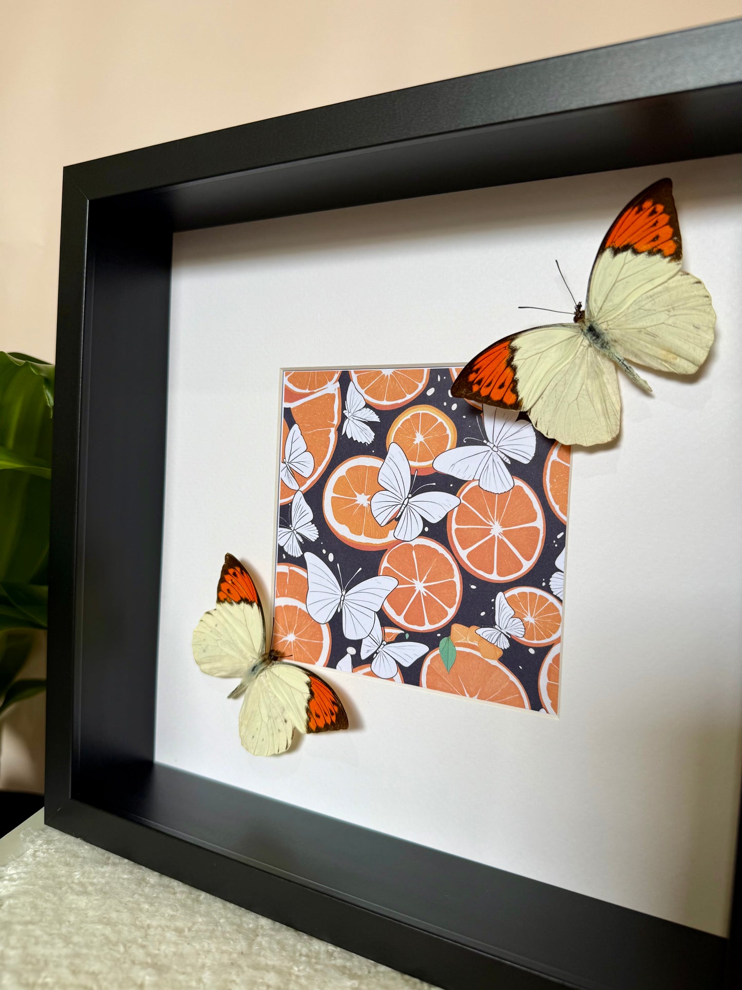 Great Orange Tip Butterfly Photo Frame