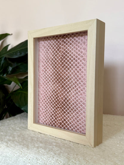 Coastal Carpet Python Slough - Pink