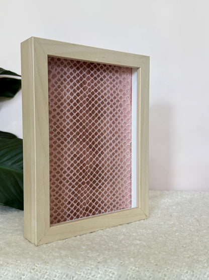 Coastal Carpet Python Slough - Pink