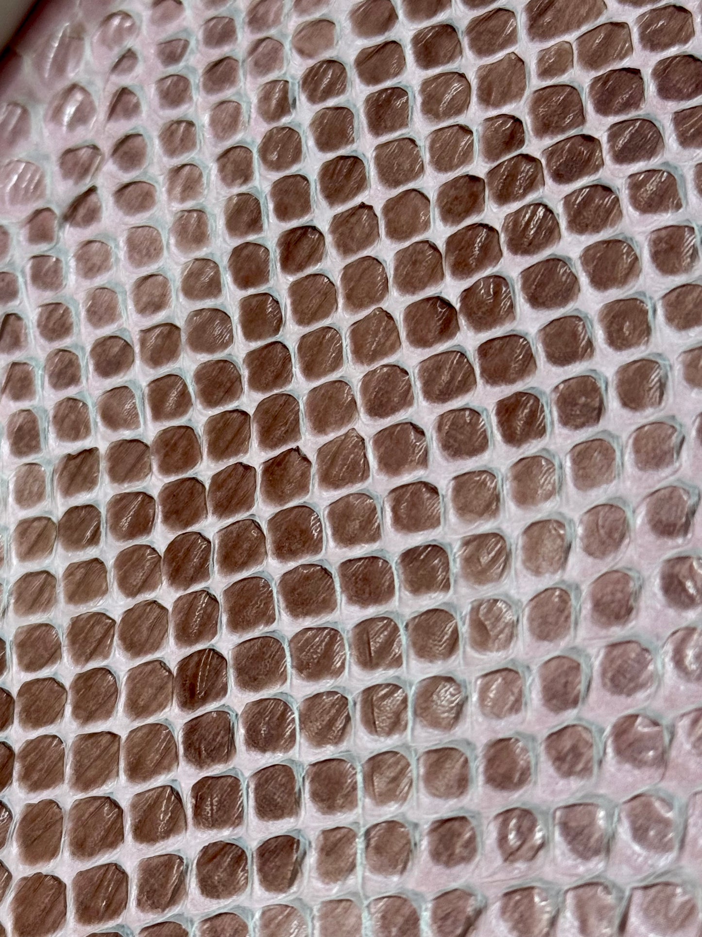 Coastal Carpet Python Slough - Pink