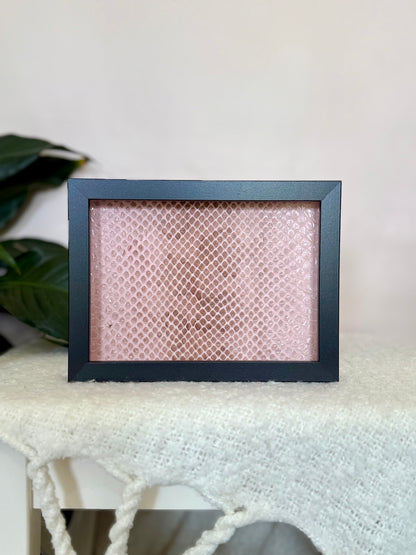 Coastal Carpet Python Slough - Pink