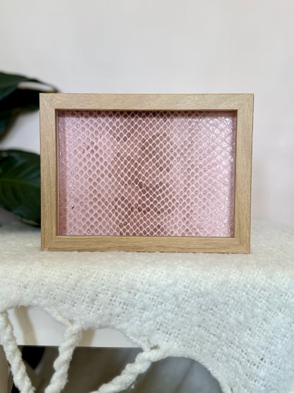 Coastal Carpet Python Slough - Pink