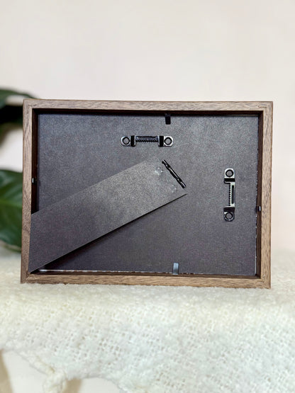 Coastal Carpet Python Slough - Pink