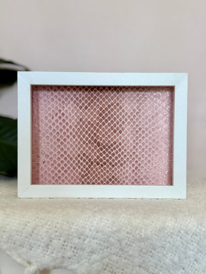 Coastal Carpet Python Slough - Pink