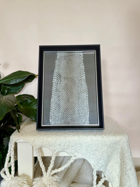 Coastal Carpet Python Slough - Black