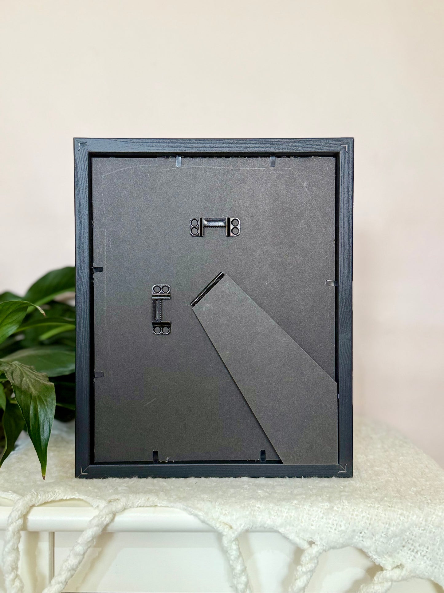 Two Scarlet Mormon Butterflies with Carpet Python Slough