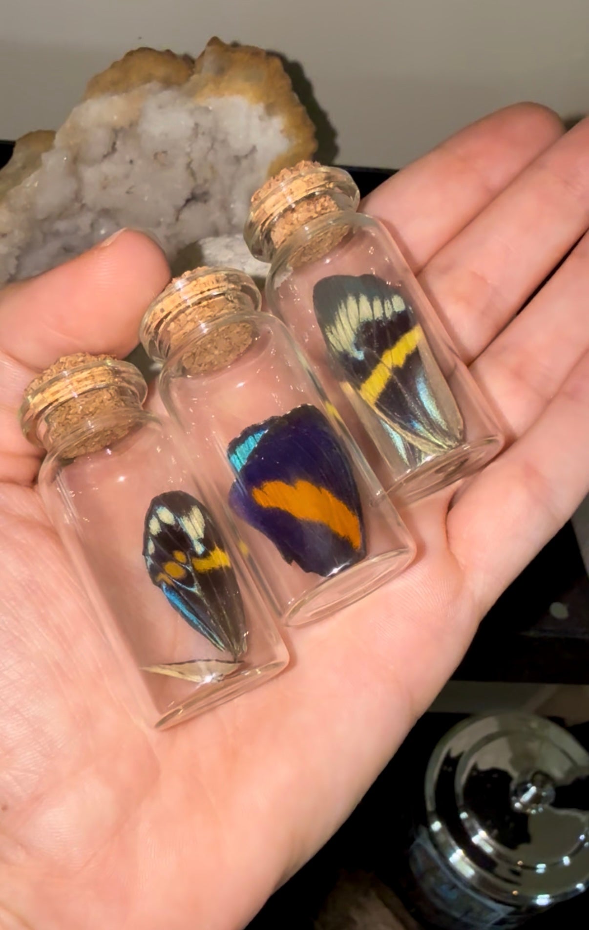 Small Butterfly Wing Vial
