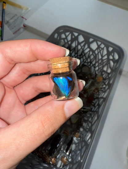 Mini Butterfly Wing Vial