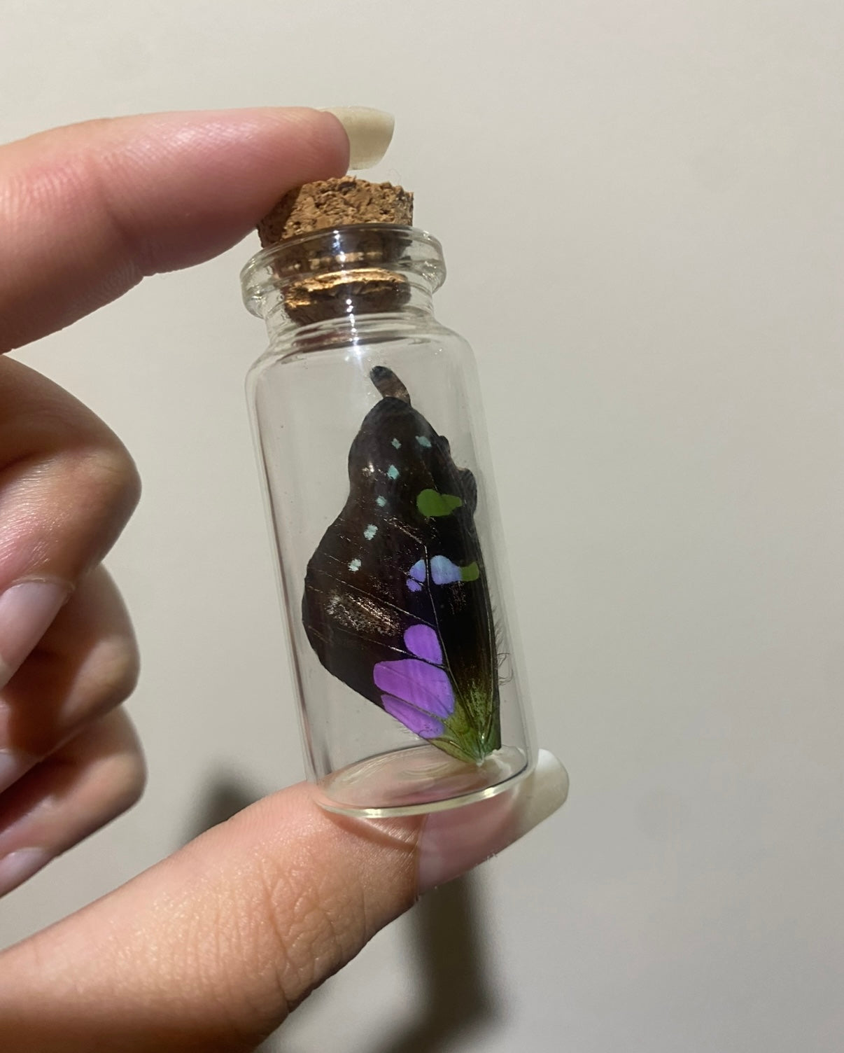 Small Butterfly Wing Vial