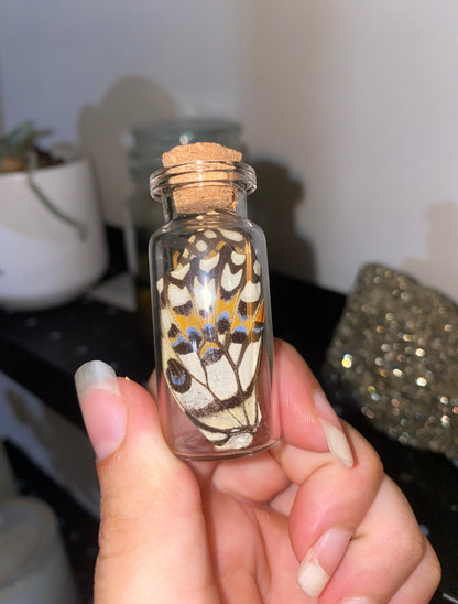 Small Butterfly Wing Vial
