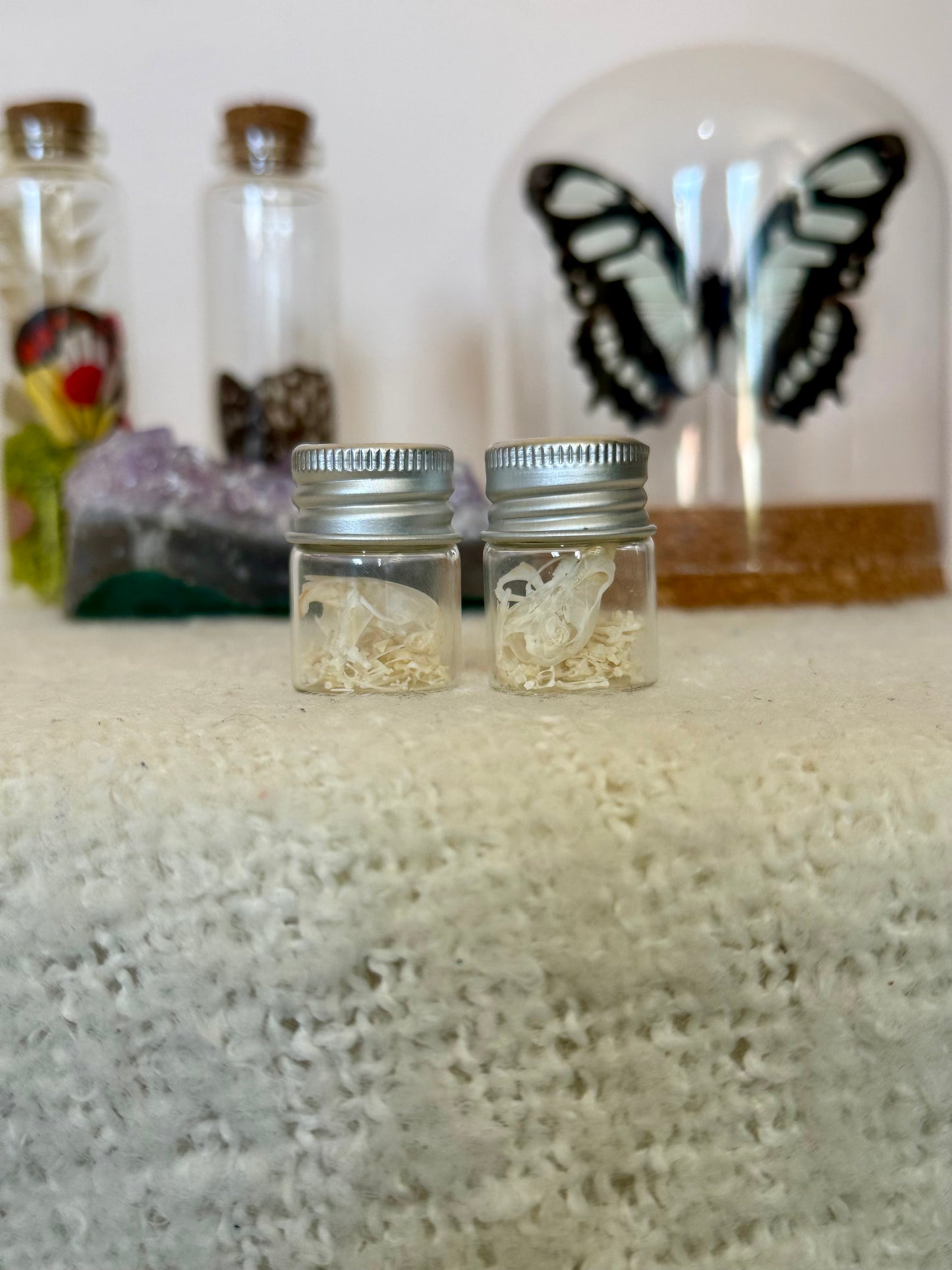 Mouse Skeleton Vial