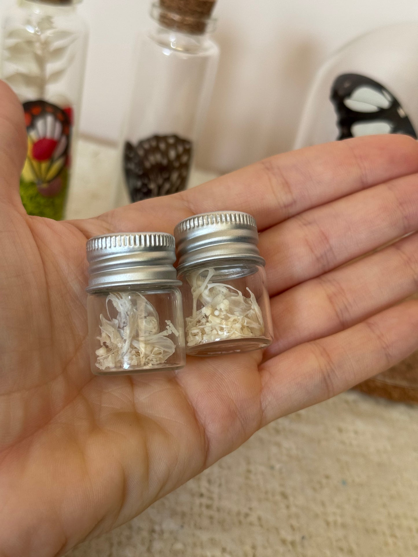 Mouse Skeleton Vial