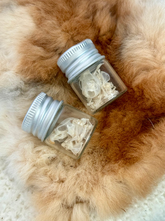 Mouse Skeleton Vial
